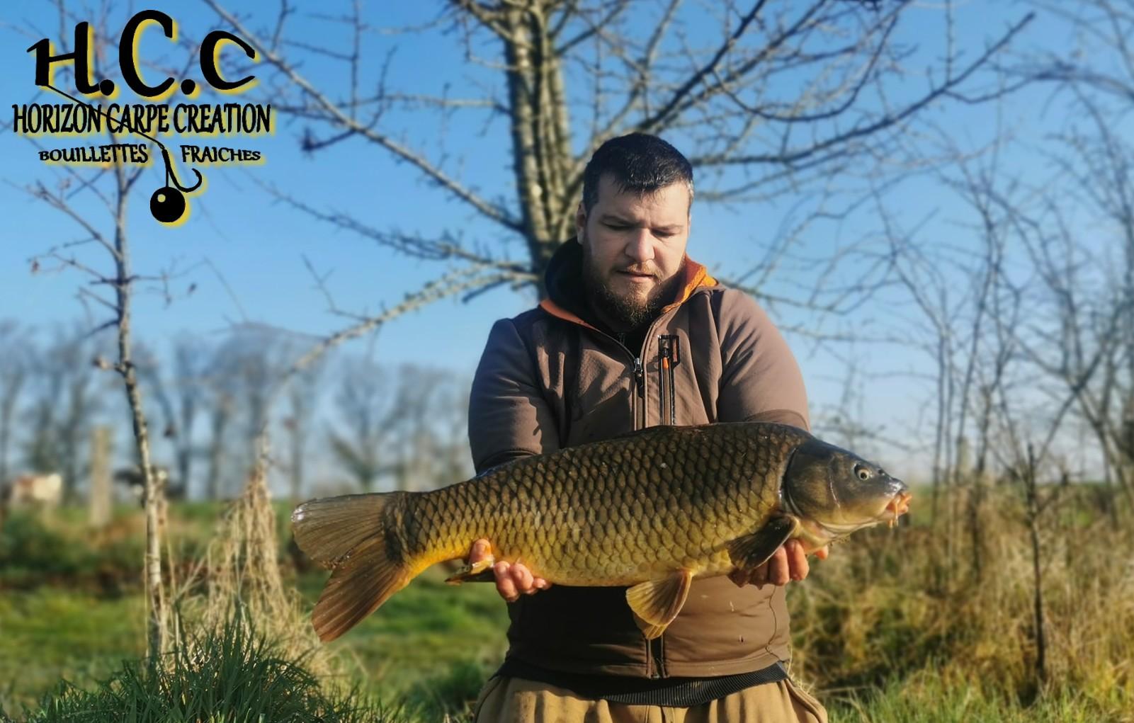 MICKAEL LAURENT - TESTEUR HCC