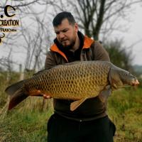 MICKAEL LAURENT - TESTEUR HCC