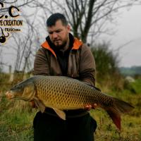 MICKAEL LAURENT - TESTEUR HCC