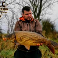 MICKAEL LAURENT - TESTEUR HCC