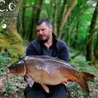 MICKAEL LAURENT - TESTEUR HCC