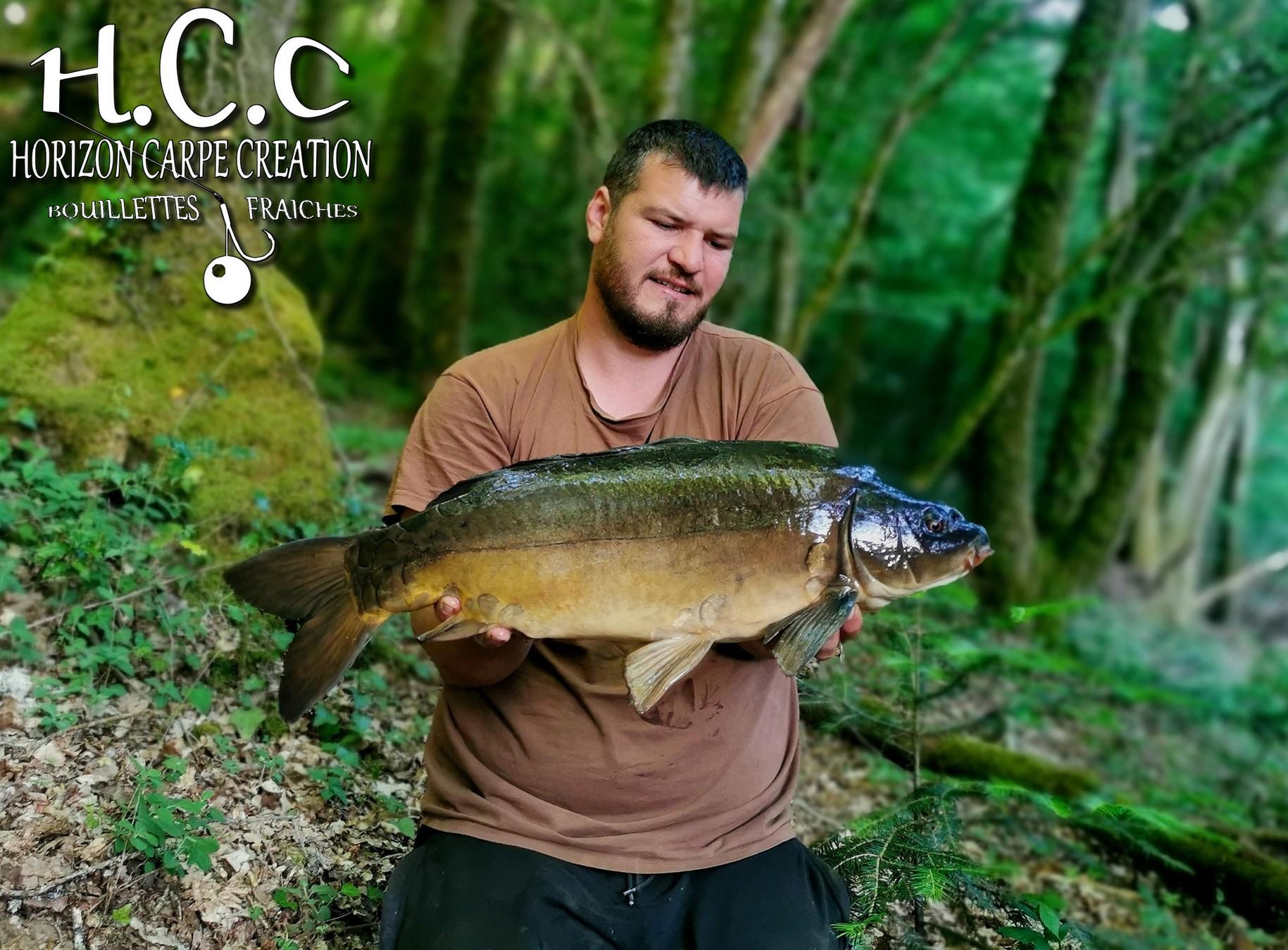 MICKAEL LAURENT - TESTEUR HCC