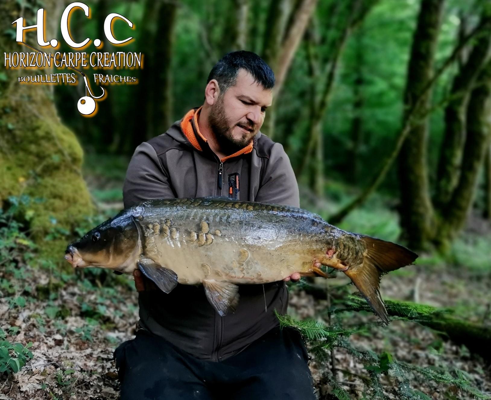 MICKAEL LAURENT - TESTEUR HCC