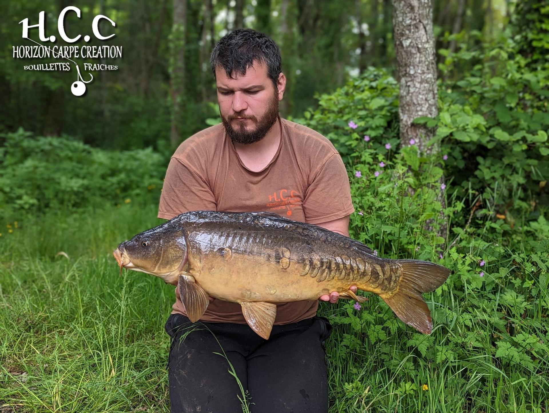 MICKAEL LAURENT  - TESTEUR HCC