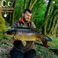 MICKAEL LAURENT - TESTEUR HCC