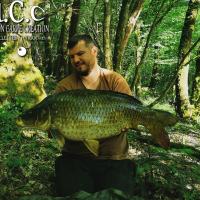 MICKAEL LAURENT - TESTEUR HCC