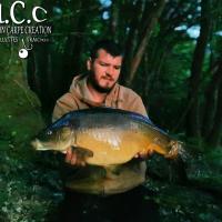 MICKAEL LAURENT - TESTEUR HCC