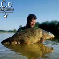 MICKAEL LAURENT - TESTEUR HCC