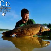 MICKAEL LAURENT - TESTEUR HCC