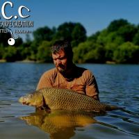 MICKAEL LAURENT - TESTEUR HCC