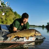 MICKAEL LAURENT - TESTEUR HCC