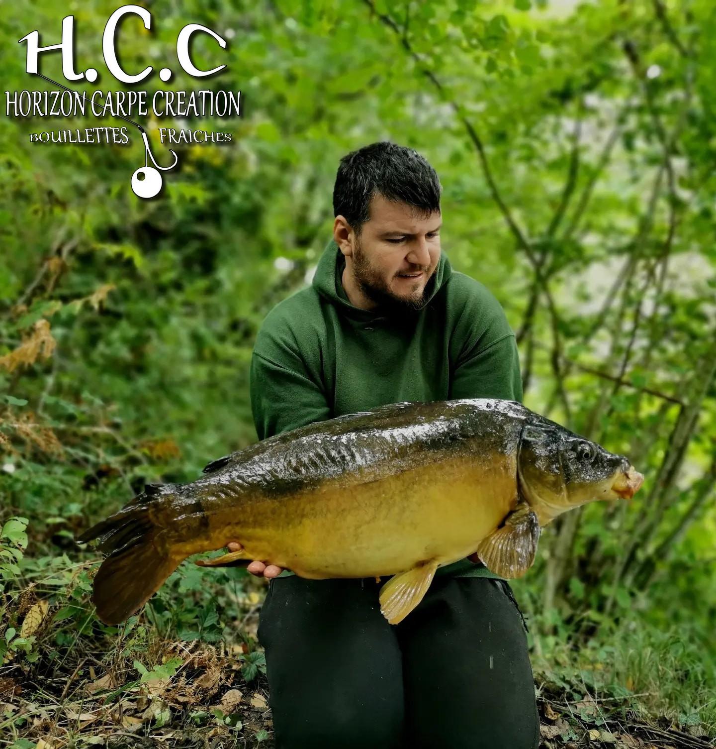 MICKAEL LAURENT - TESTEUR HCC