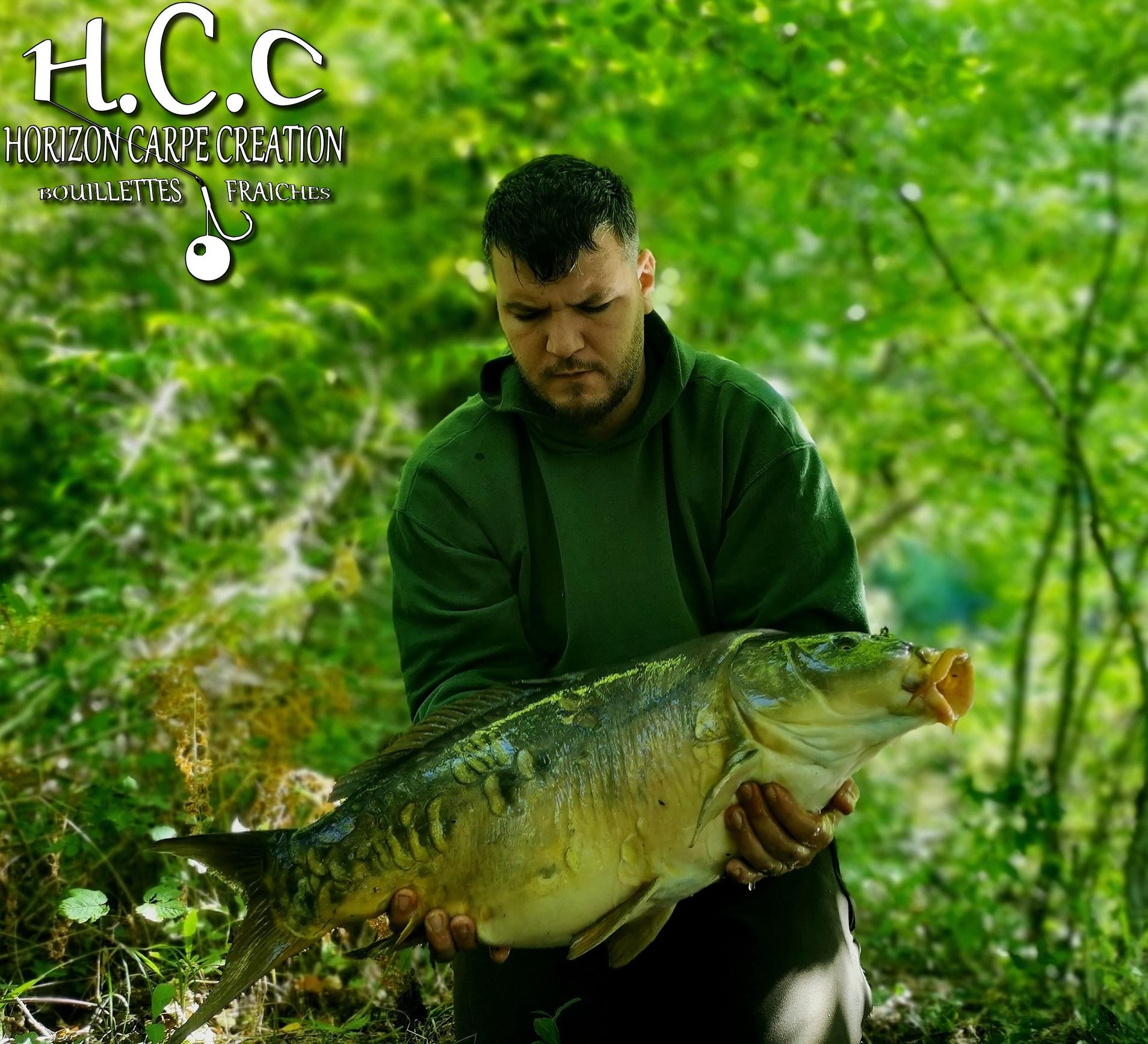 MICKAEL LAURENT - TESTEUR HCC