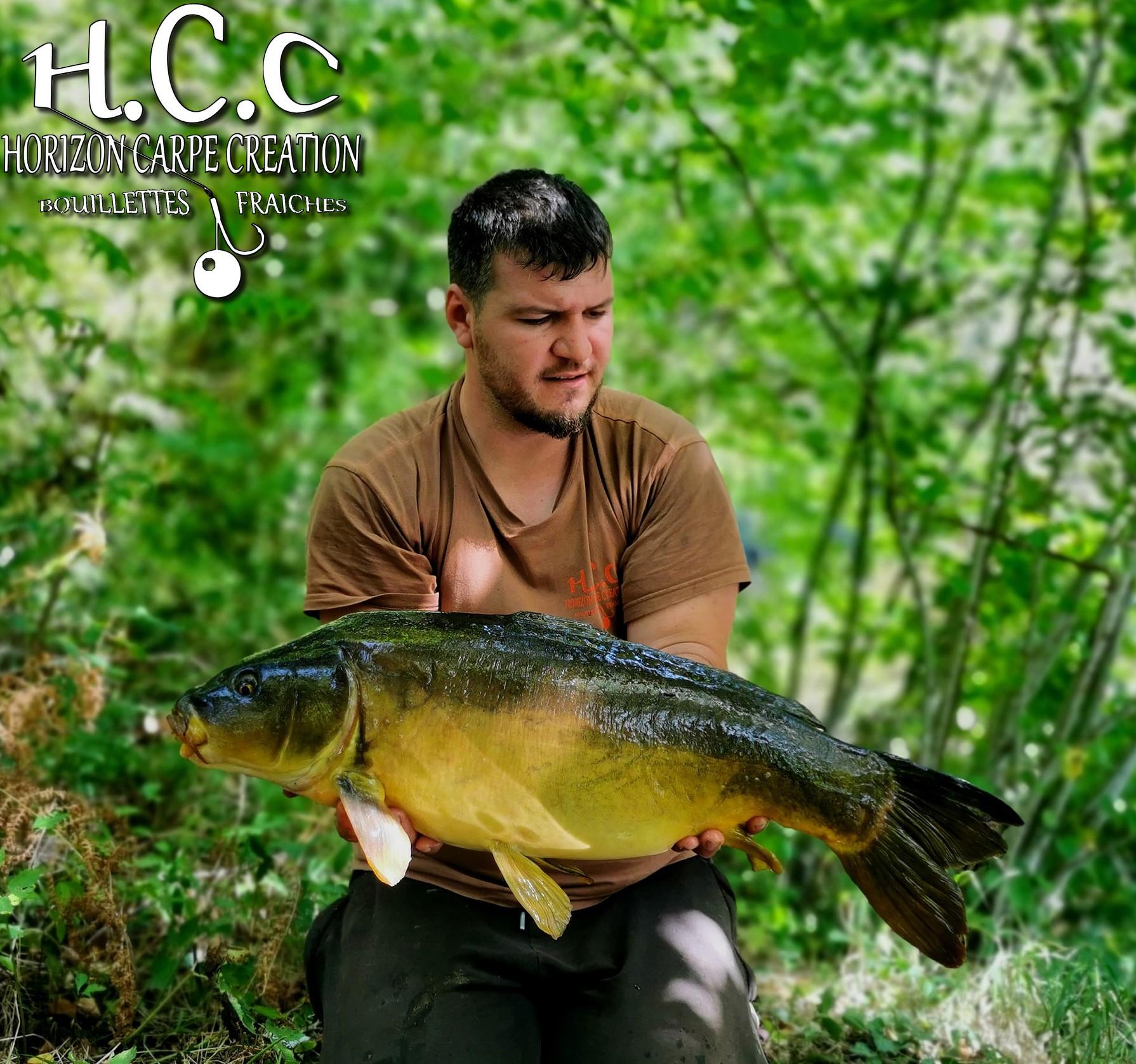 MICKAEL LAURENT - TESTEUR HCC