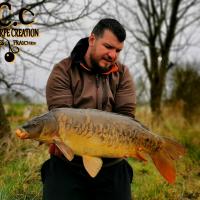 MICKAEL LAURENT - TESTEUR HCC