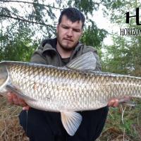 MICKAEL LAURENT - TESTEUR HCC
