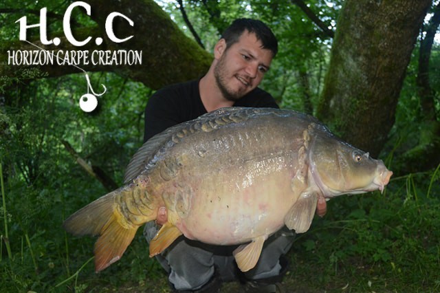 MICKAEL LAURENT - TESTEUR HCC