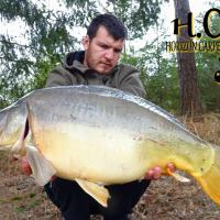 MICKAEL LAURENT - TESTEUR HCC