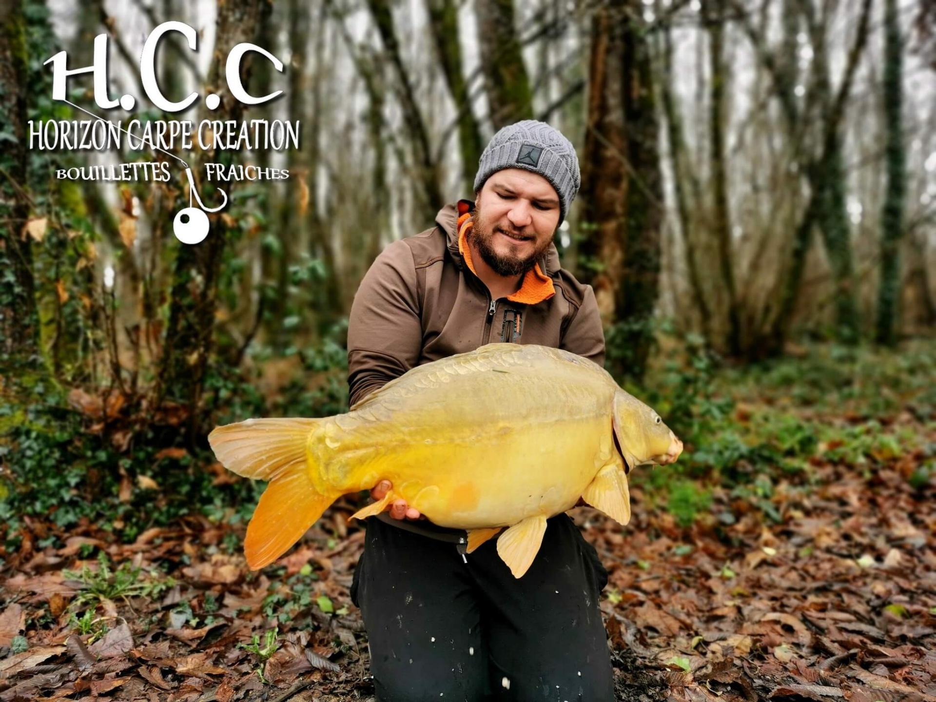 MICKAEL LAURENT - TESTEUR HCC