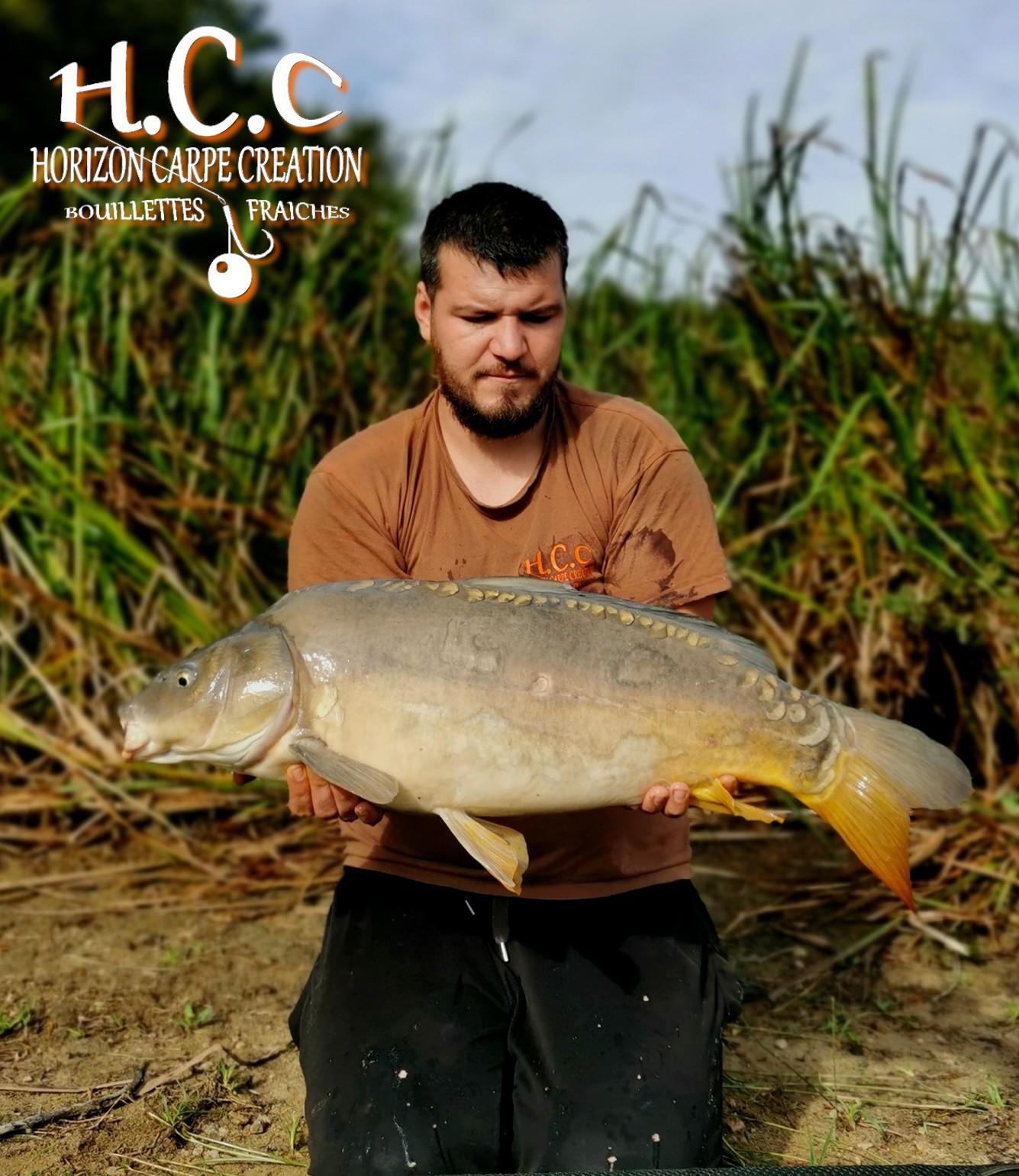 MICKAEL LAURENT - TESTEUR HCC