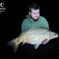 MICKAEL LAURENT - TESTEUR HCC