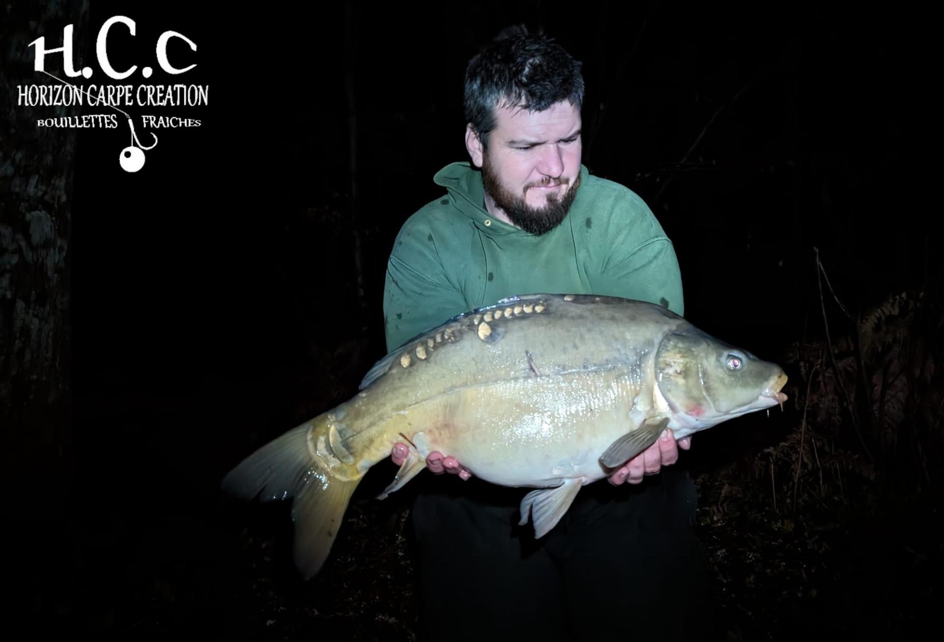 MICKAEL LAURENT - TESTEUR HCC