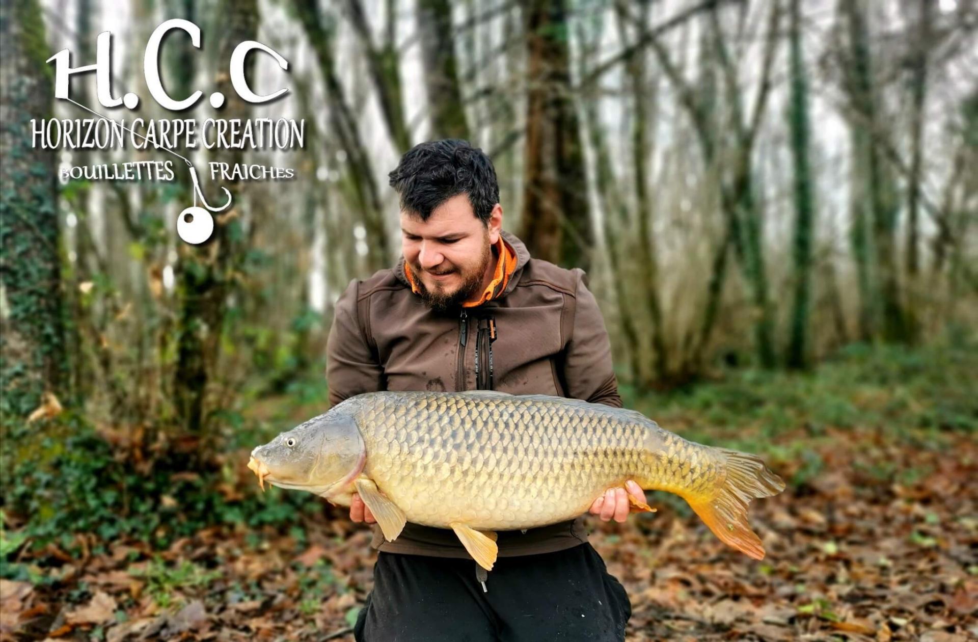 MICKAEL LAURENT - TESTEUR HCC