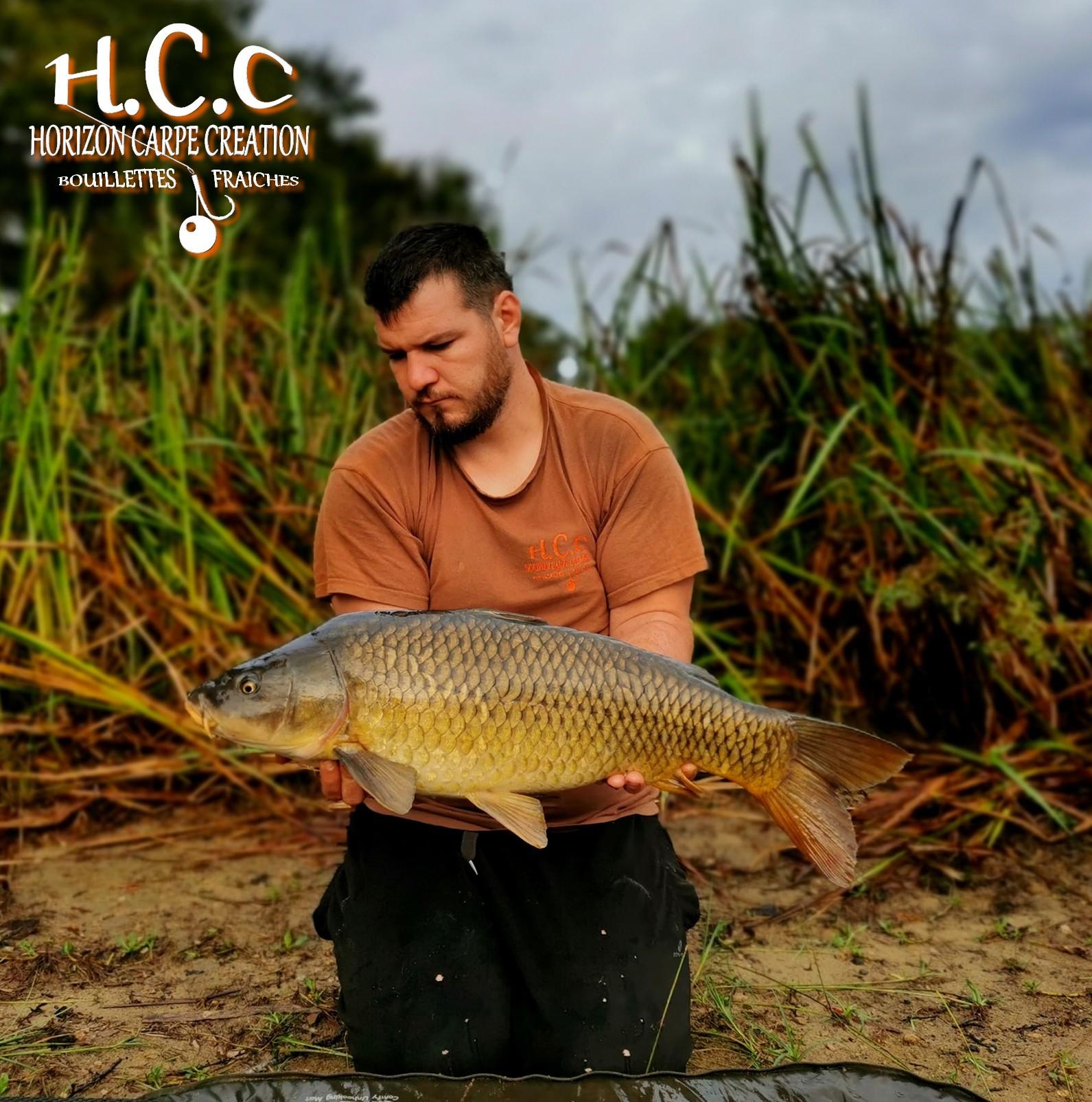 MICKAEL LAURENT - TESTEUR HCC