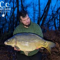 MICKAEL LAURENT - TESTEUR HCC