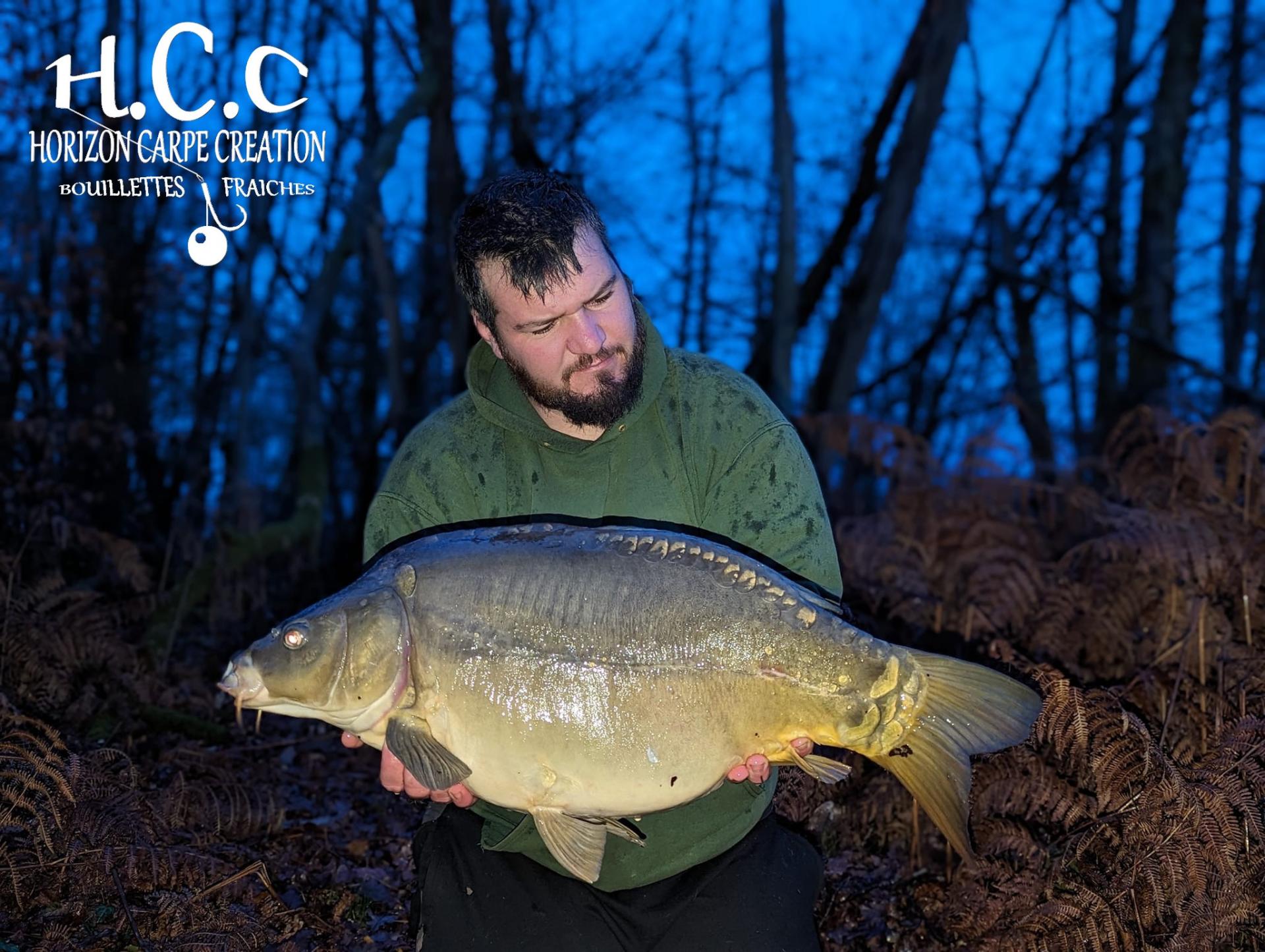 MICKAEL LAURENT - TESTEUR HCC