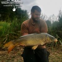 MICKAEL LAURENT - TESTEUR HCC