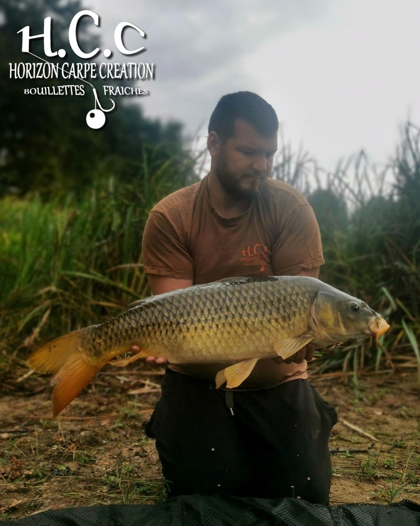 MICKAEL LAURENT - TESTEUR HCC