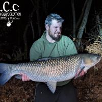 MICKAEL LAURENT - TESTEUR HCC