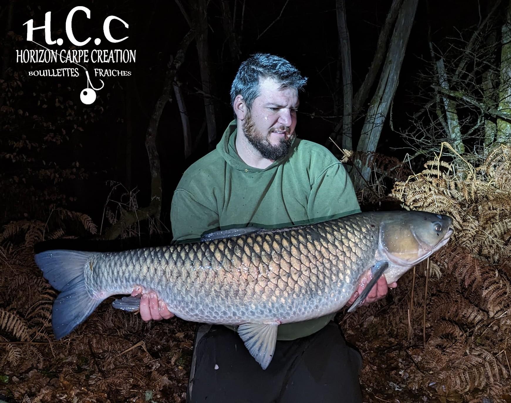 MICKAEL LAURENT - TESTEUR HCC