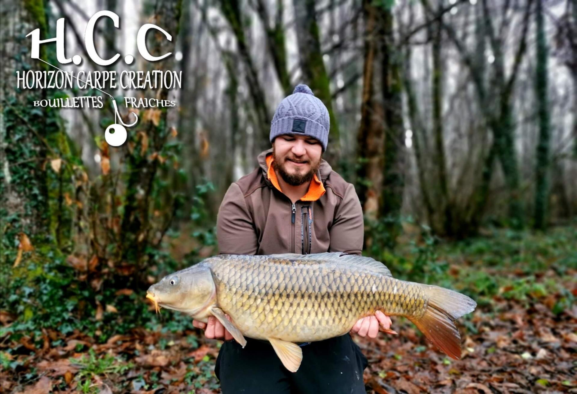 MICKAEL LAURENT - TESTEUR HCC