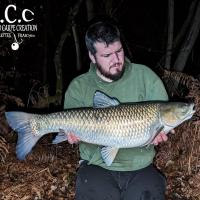 MICKAEL LAURENT - TESTEUR HCC