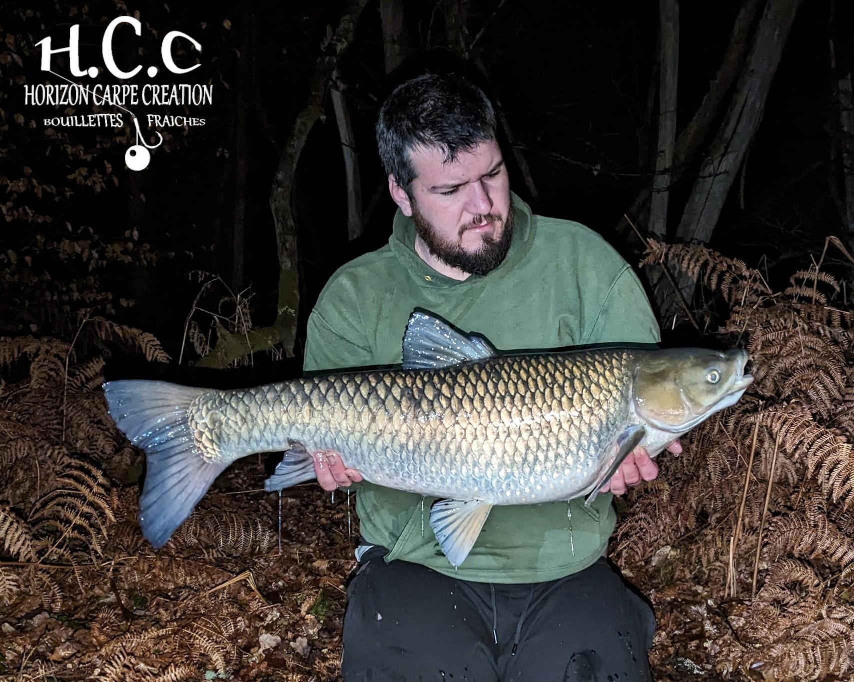 MICKAEL LAURENT - TESTEUR HCC