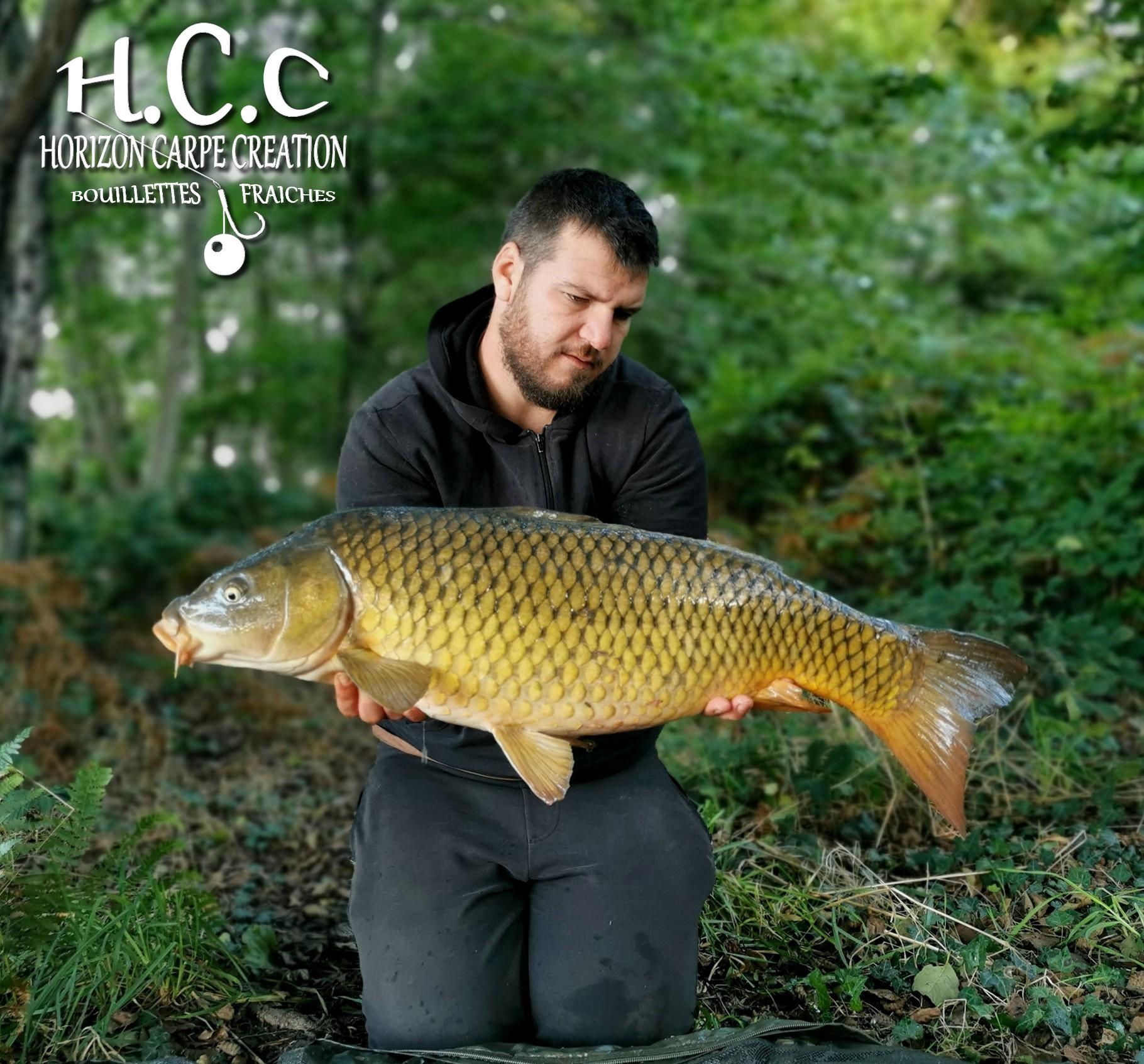 MICKAEL LAURENT - TESTEUR HCC