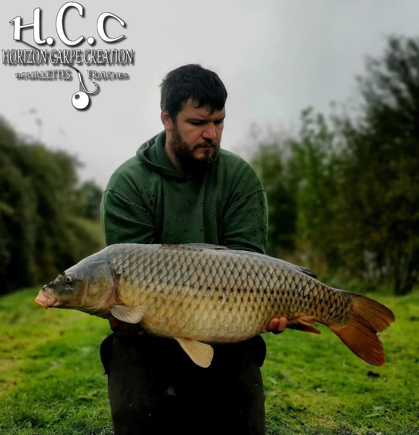 MICKAEL LAURENT - TESTEUR HCC