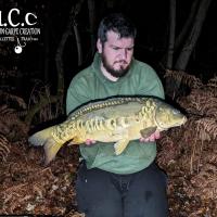 MICKAEL LAURENT - TESTEUR HCC