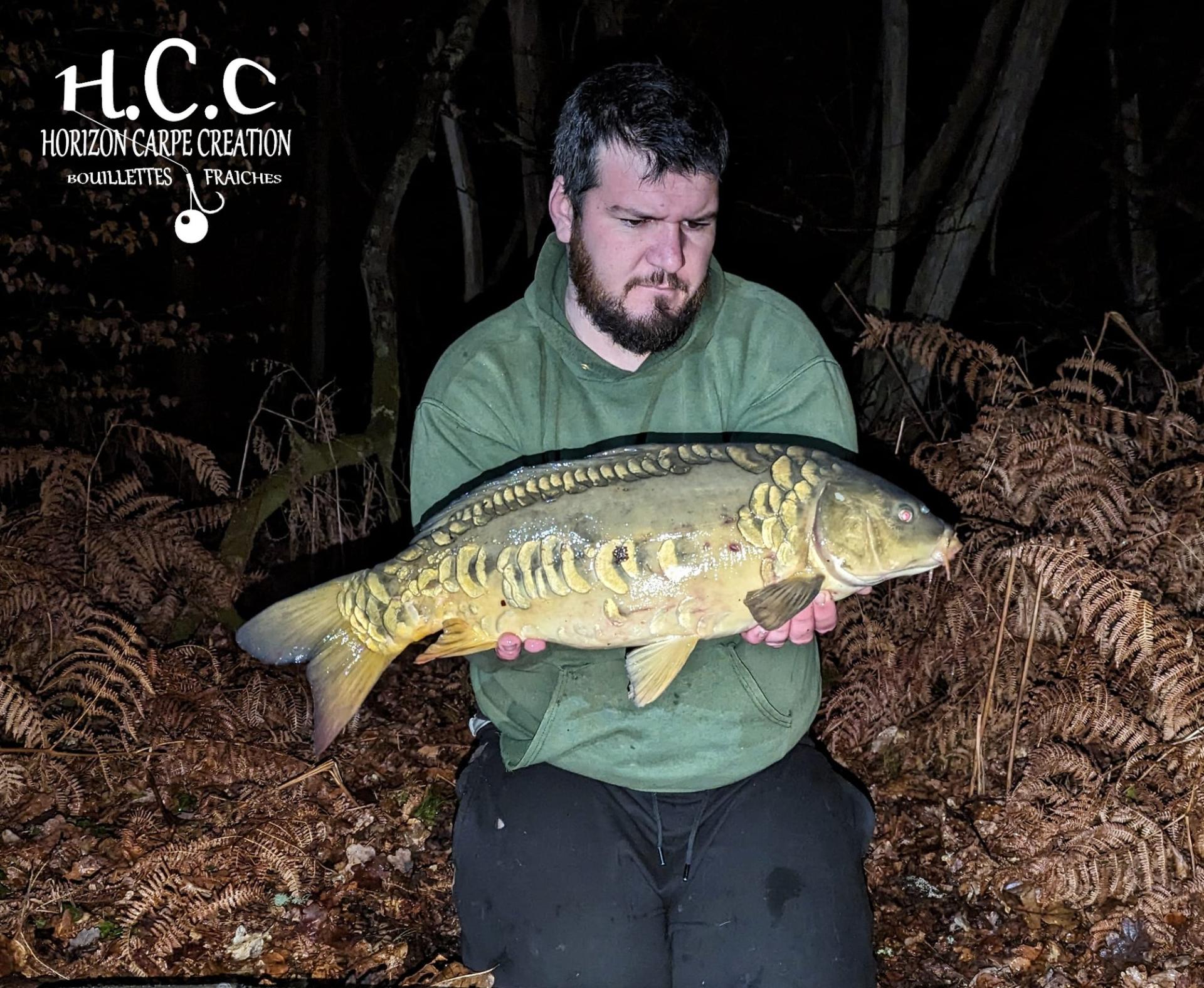 MICKAEL LAURENT - TESTEUR HCC