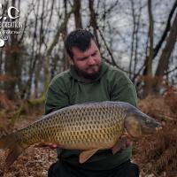 MICKAEL LAURENT - TESTEUR HCC