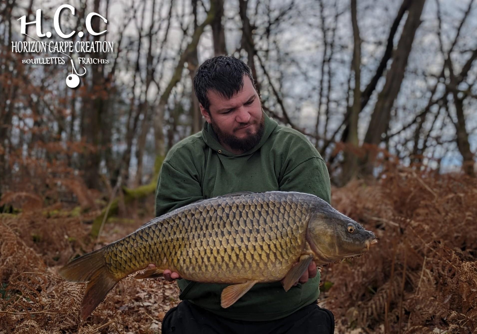 MICKAEL LAURENT - TESTEUR HCC
