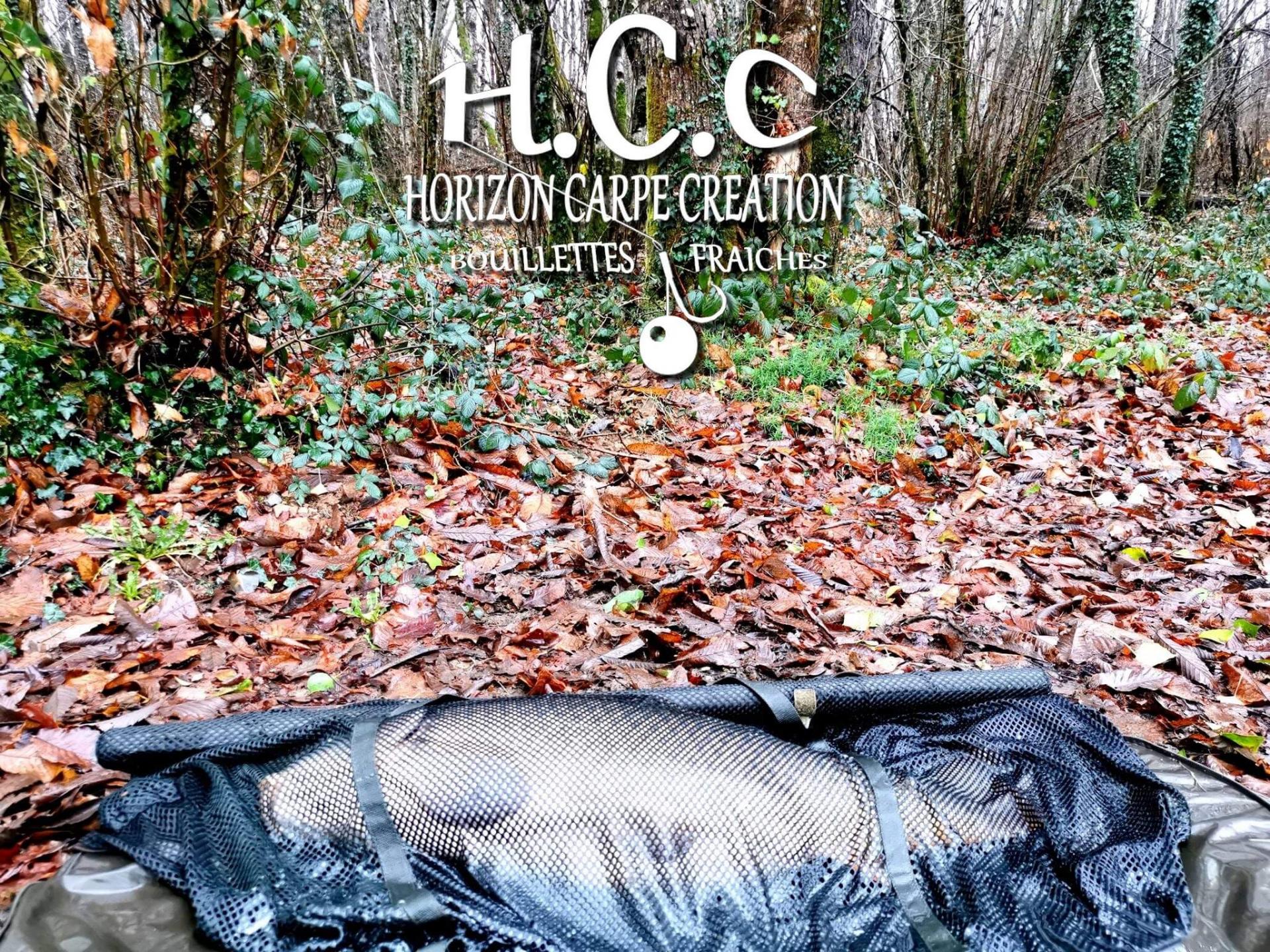 MICKAEL LAURENT - TESTEUR HCC