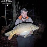 MICKAEL LAURENT - TESTEUR HCC