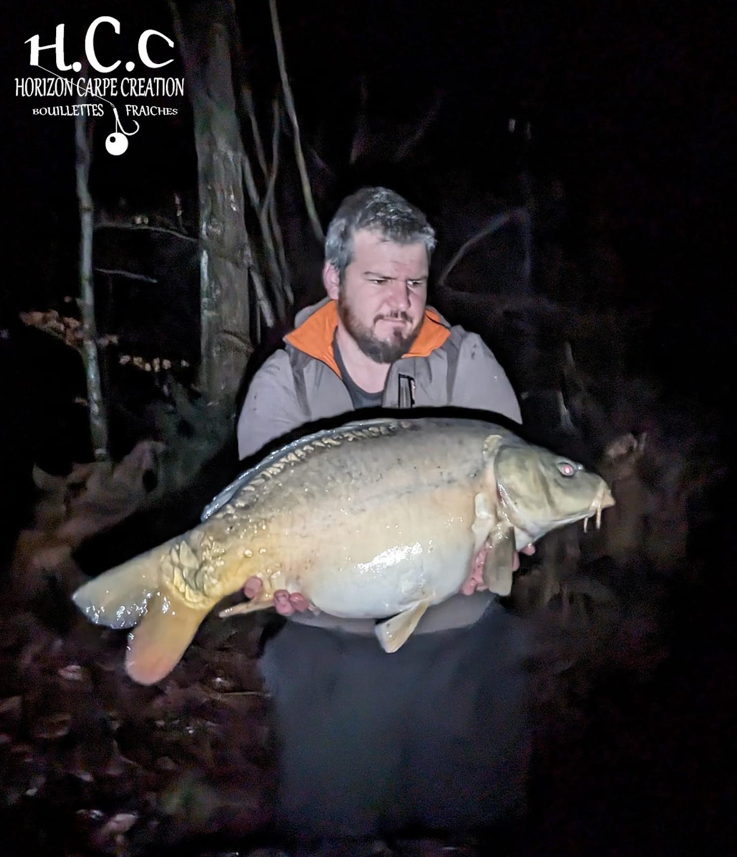 MICKAEL LAURENT - TESTEUR HCC