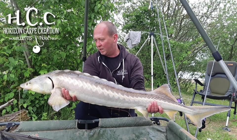 MIGUEL HERRMANN - TEAM HCC