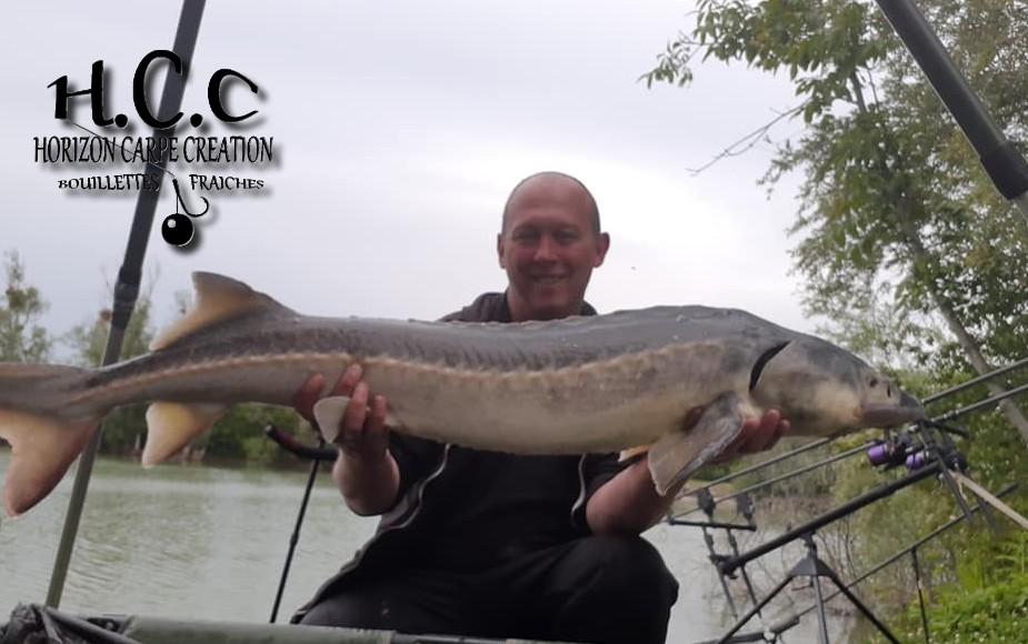 MIGUEL HERRMANN - TEAM HCC