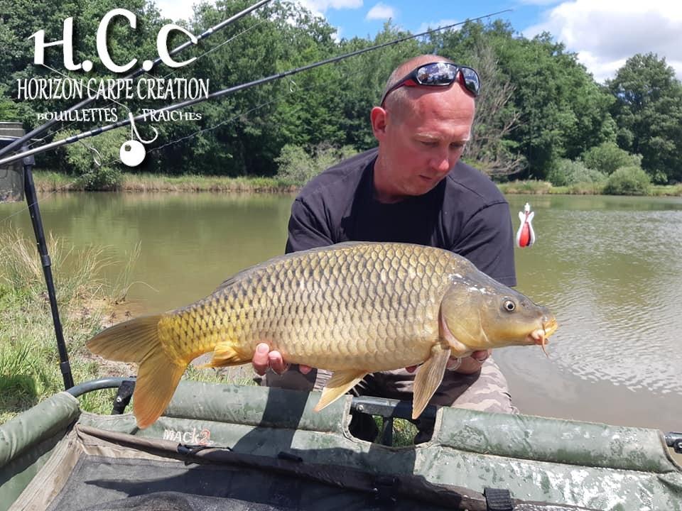 MIGUEL HERRMANN - TEAM HCC