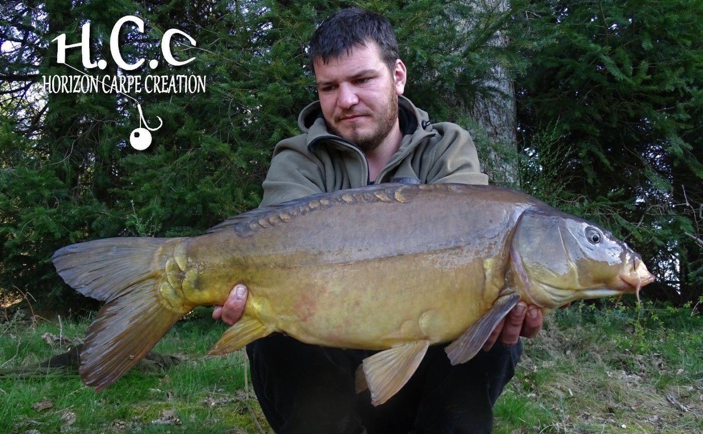 MICKAËL LAURENT - TESTEUR HCC